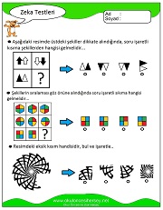 Zeka Gelişim Testleri